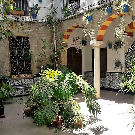 Ap Abderraman I Cordoba Lägenhet Exteriör bild