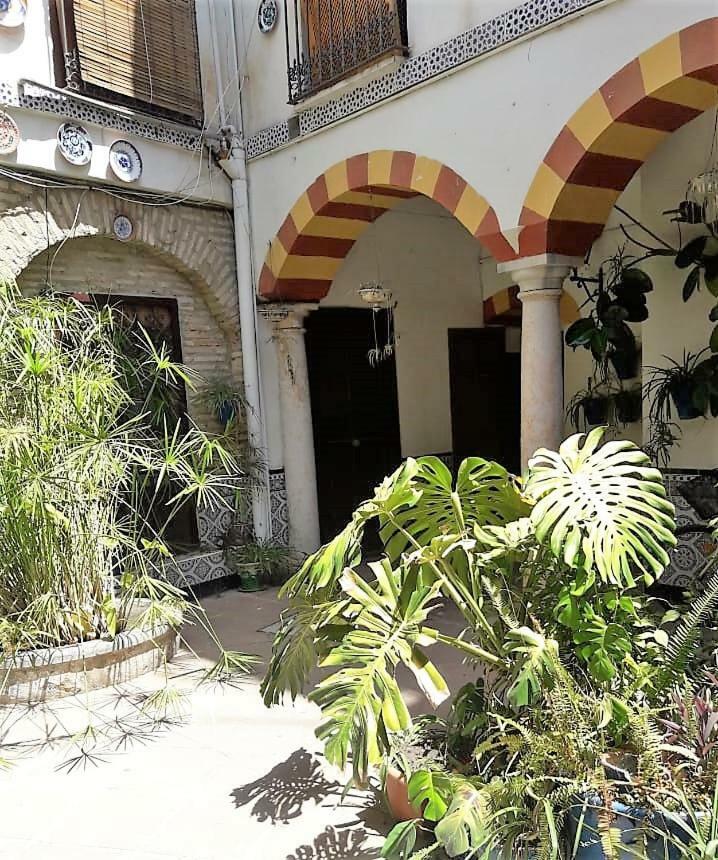 Ap Abderraman I Cordoba Lägenhet Exteriör bild
