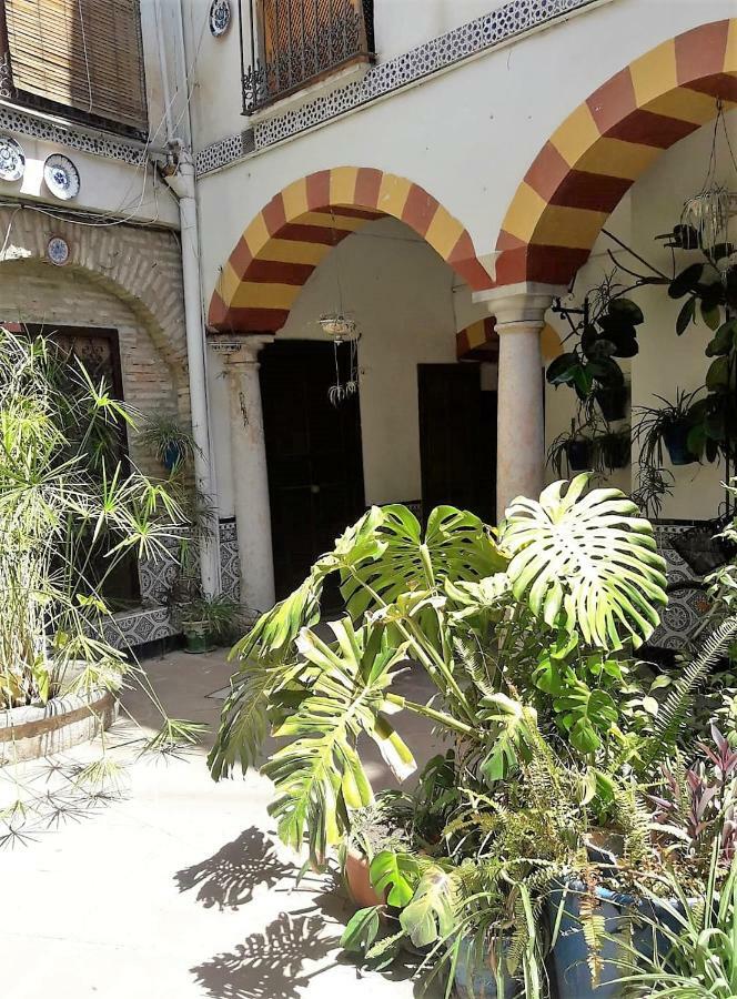 Ap Abderraman I Cordoba Lägenhet Exteriör bild